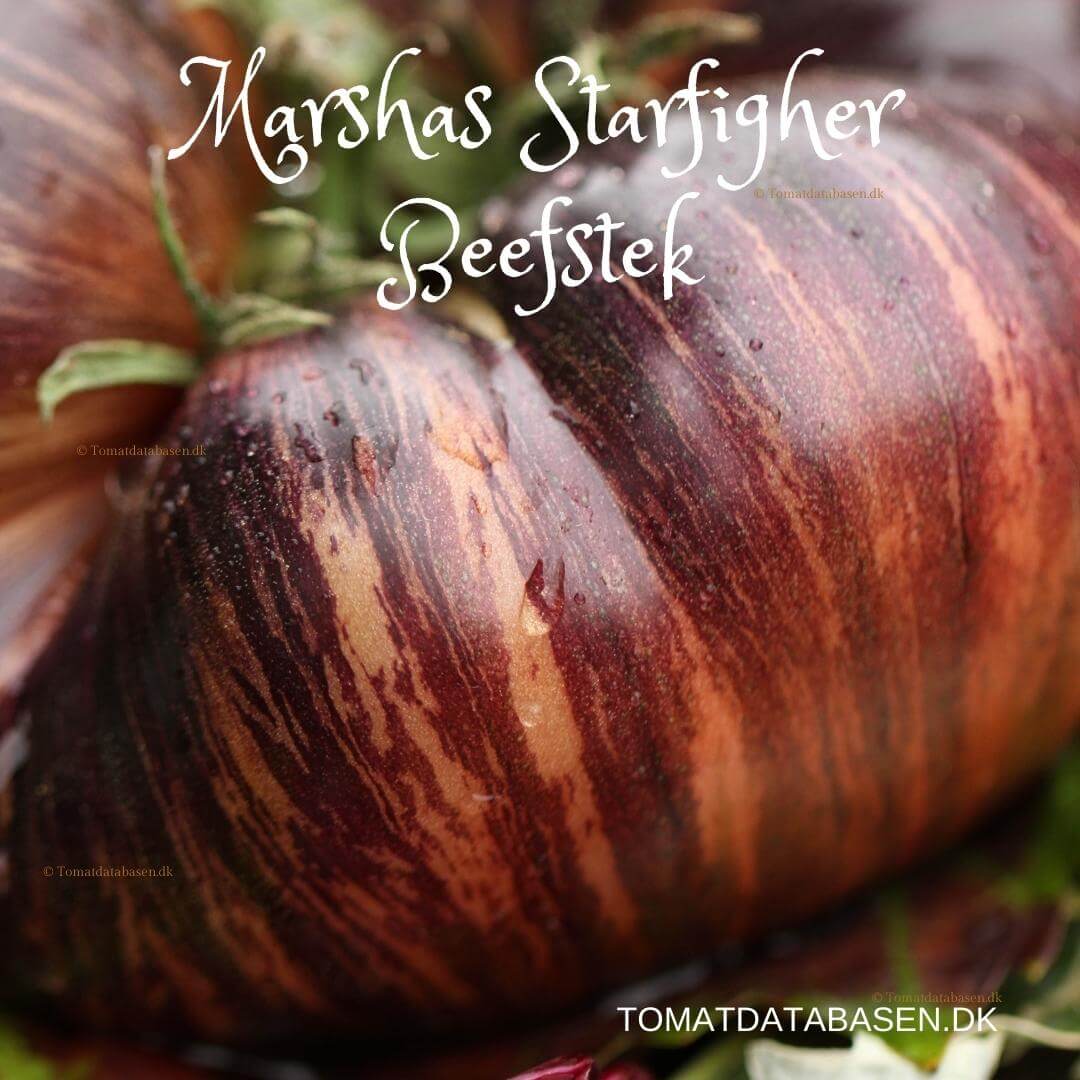 Marsha's Starfighter Beefsteak